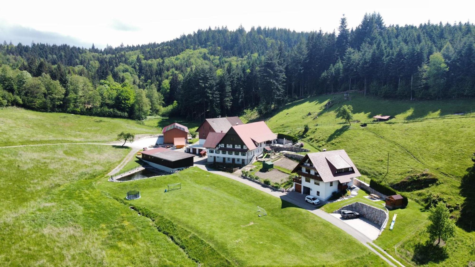 Ferienhof Benz Kappelrodeck Exterior foto